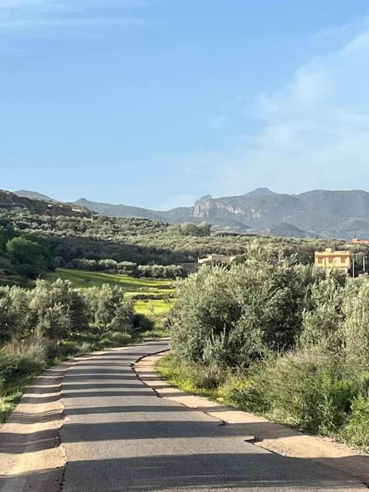 Maison D Hotes Tioute Chez Abdelmajid Dış mekan fotoğraf